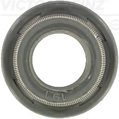 Seal Ring, valve stem
